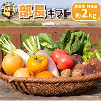 ふるさと納税 うきは市 【部長ギフト】道の駅うきは　厳選 旬の果物と野菜の詰め合わせ(約2kg) |  | 01