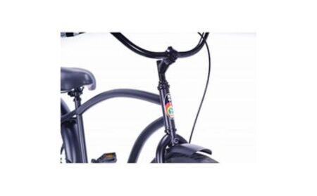 自転車 ビーチクルーザー 26インチ ブラック 組み立て不要 【Rainbow Products Japan】Rainbow Type-X レインボー ビーチクルーザー スペシャル仕様 マットブラック