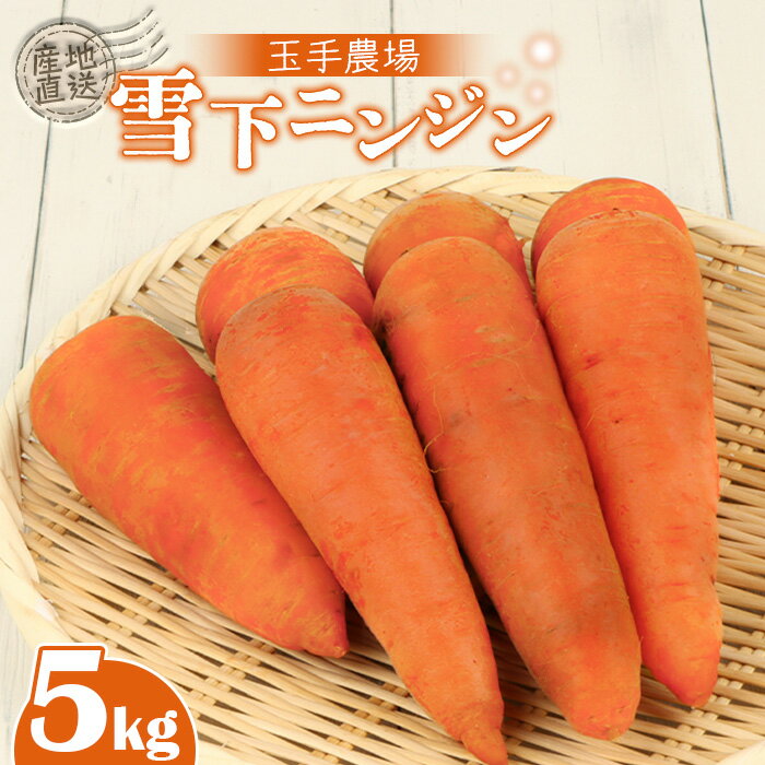 【ふるさと納税】【3月～4月発送予定】玉手農場 雪下にんじん 5kg 人参 にんじん ニンジン 越冬 オンライン 申請 ふるさと納税 北海道 留寿都 野菜 旬野菜 季節野菜 甘い みずみずしい 産地直送 新鮮 採れたて サラダ カレー 5キロ 留寿都村【1200802】