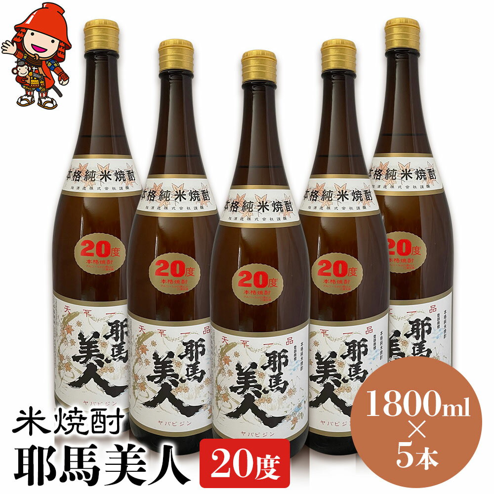 【ふるさと納税】米焼酎 耶馬美人 20度 1,800ml×5本 大分県中津市の地酒 焼酎 酒 アルコール 大分県産 九州産 中津市 国産 送料無料ど