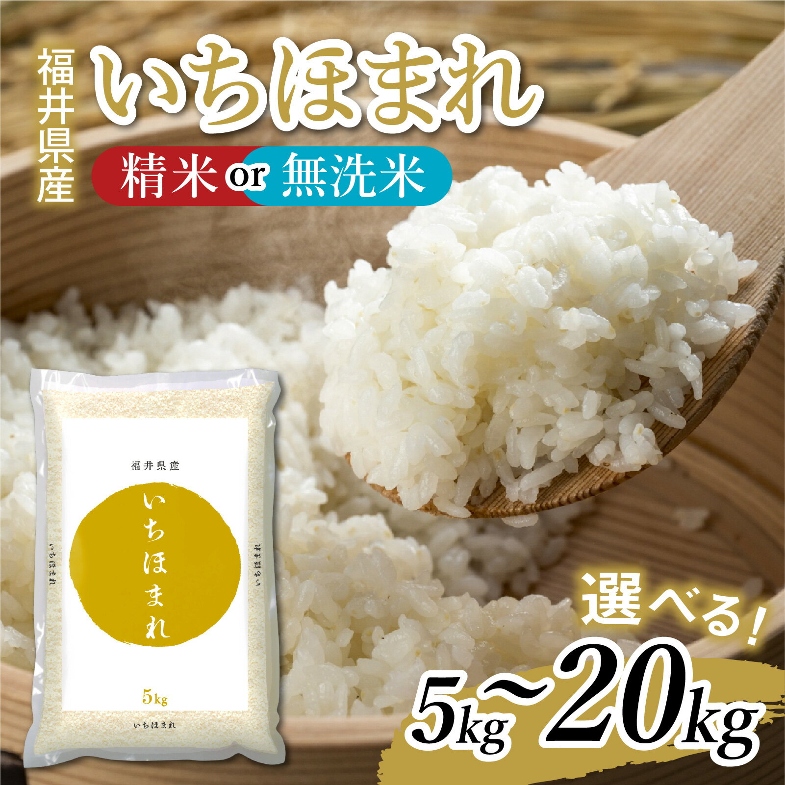 【ふるさと納税】【令和7年産】福井が生んだブランド米「福井県産いちほまれ」選べる容量 / 米 こめ お米 コメ ごはん ご飯 飯 送料無料 5kg 10kg 15lg 20kg 2袋 3袋 4袋 無洗米 精米 白米 単一米 ブランド