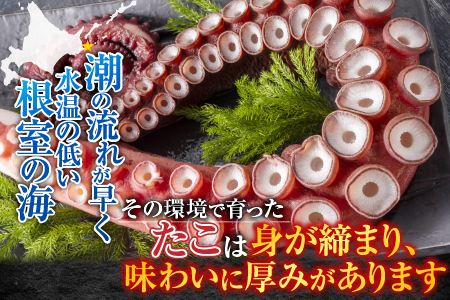 【北海道根室産】たこ足800g前後～1.4kg前後×1本 A-30050