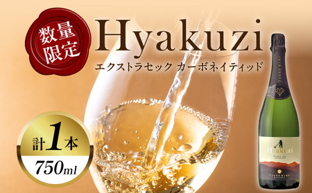 【数量限定】Hyakuzi エクストラセック カーボネイティッド(計1本) _T014-007【 酒 飲料 アルコール 国産 人気 ワイン ギフト ワイン 食品 ワイン お酒 ワイン飲み比べ ワイン 贈り物 ワイン プレゼント ワイン 赤ワイン 都農 ワイン 都農スペシャル 】