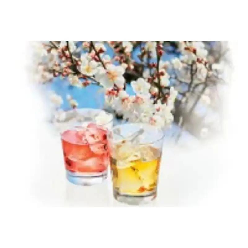 かみはやさんの梅酒 【白】 720ml 2本 アルコール度数11％ / 梅干し 梅干 梅 うめ 梅酒 酒 紀州南高梅 南高梅 和歌山 紀州産 完熟梅 本格梅酒 ギフト プレゼント お土産 手土産 【o