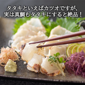 ブランド 真鯛 乙女鯛 藁焼き タタキ1尾 高知県 須崎市 鯛 たたき 真鯛 たたき 鯛 タタキ 真鯛 タタキ 鯛たたき 真鯛たたき 鯛タタキ 真鯛タタキ 鯛藁焼き 真鯛藁焼き