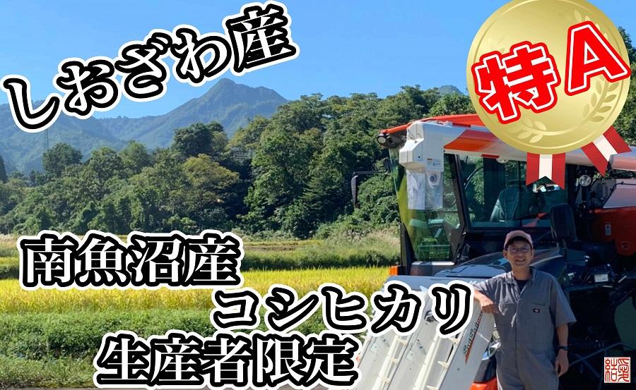 【令和7年産】【定期便】玄米 南魚沼しおざわ産コシヒカリ4Kg×3ヶ月