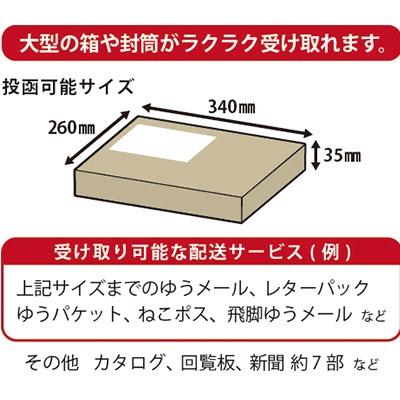 ふるさと納税 三条市 鍵付大型ステンレス郵便ポスト 郵便受け  [グリーンライフ] 【026P002】 |  | 01