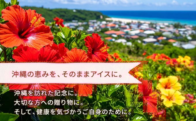 SOY(豆乳)アイス 6個セット (プレーン・抹茶・沖縄産秋ウコン) 3種類 各2個 | 沖縄 宜野湾市 送料無料