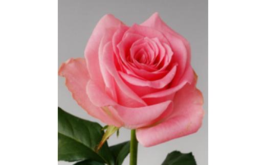 薔薇の花束単色10本セット【ブロッサムピンク（ピンク色）】