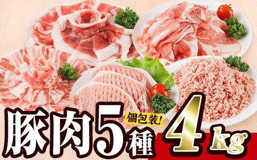 ＼9月発送／ 豚肉 バラエティーパック (合計4kg) 豚バラ しゃぶしゃぶ 鍋 とんかつ ロース 小分け 個包装 豚こま 小間切れ スライス ミンチ 5種 セット 詰め合わせ 冷凍 食べ比べ 国産 大分県 佐伯市【BD325-09】【西日本畜産】