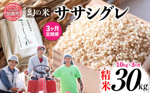 《 先行予約 》 【 3回 定期便 】ササシグレ 玄米 10kg × 3回 （ 合計 30kg ）