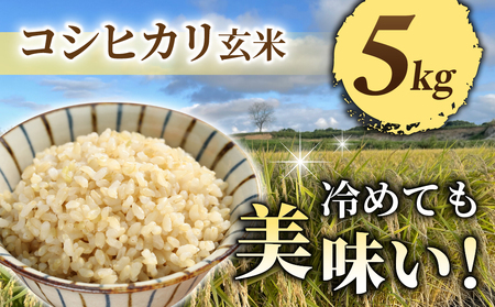 令和7年産新米予約【長野県東御市産】信州特Ａ米コシヒカリ玄米5kg｜※2025年10月より順次発送予定