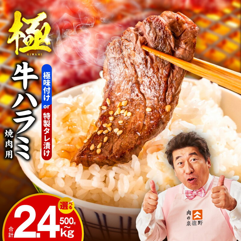 【ふるさと納税】牛肉 ハラミ 500g / 600g / 750g / 900g / 1kg / 1.2kg / 1.5kg / 2kg / 2.4kg 丸善特製ダレ 氷温熟成×極味付け 牛ハラミ 小分け 氷温熟成牛 熟成肉 肉 焼肉 ふるさと納税オリジナル 限定 発送月 冷凍 大阪府 泉佐野市 送料無料 肉の泉佐野 圧倒的企業努力