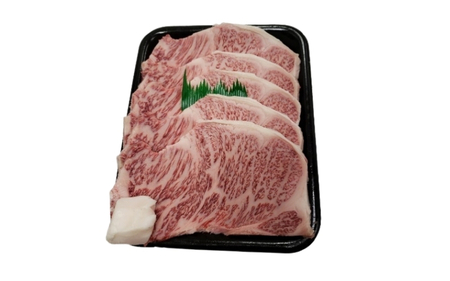 伊賀牛（冷凍）森辻の伊賀牛 A5 熟成サーロインステーキ 約200g×4枚【mrtj0006-2】