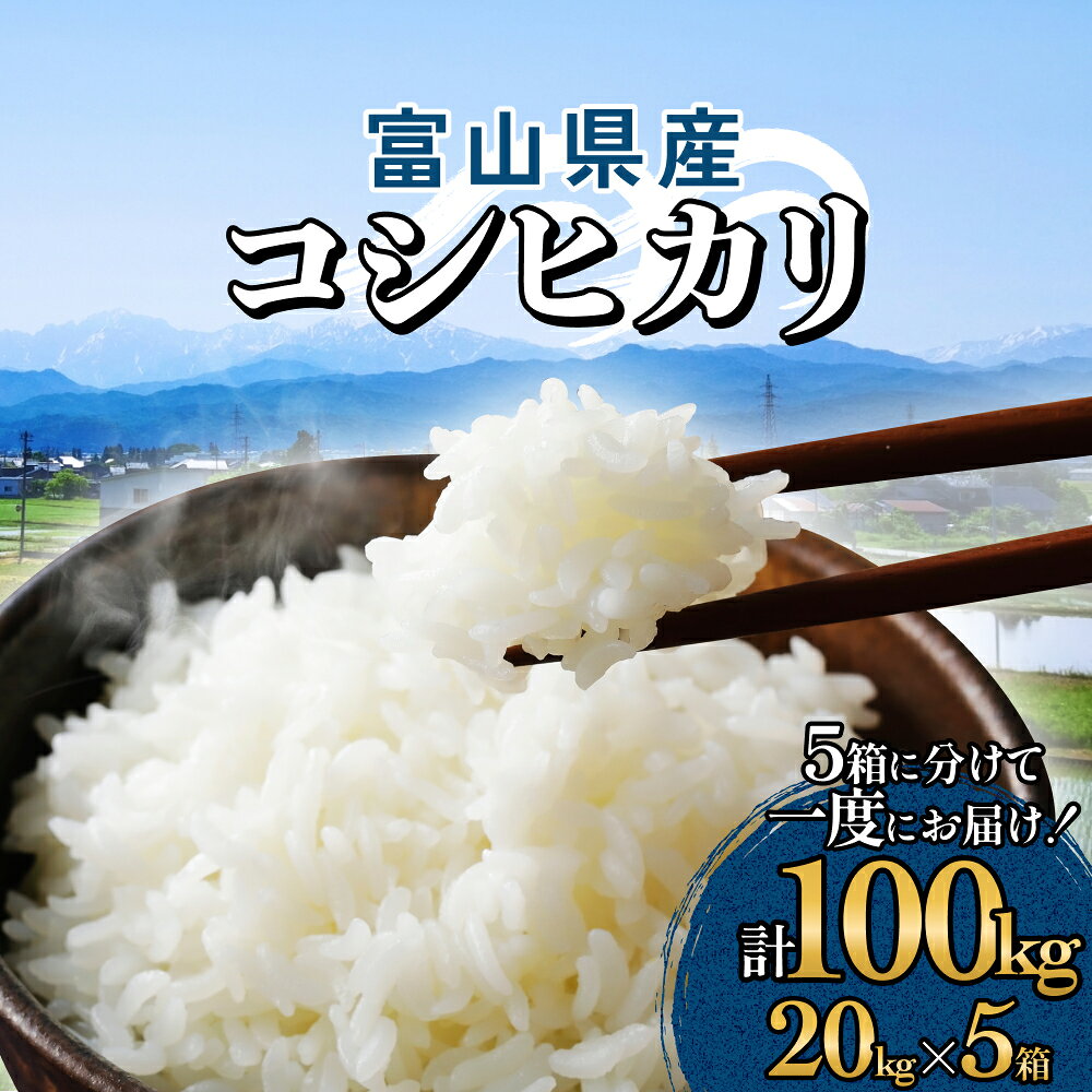 【ふるさと納税】富山県産 コシヒカリ 100kg（20kg×5箱） 精米 富山県 氷見市 米 コシヒカリ