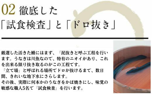 995.国産うなぎ蒲焼き120g4本セット(A995-1)