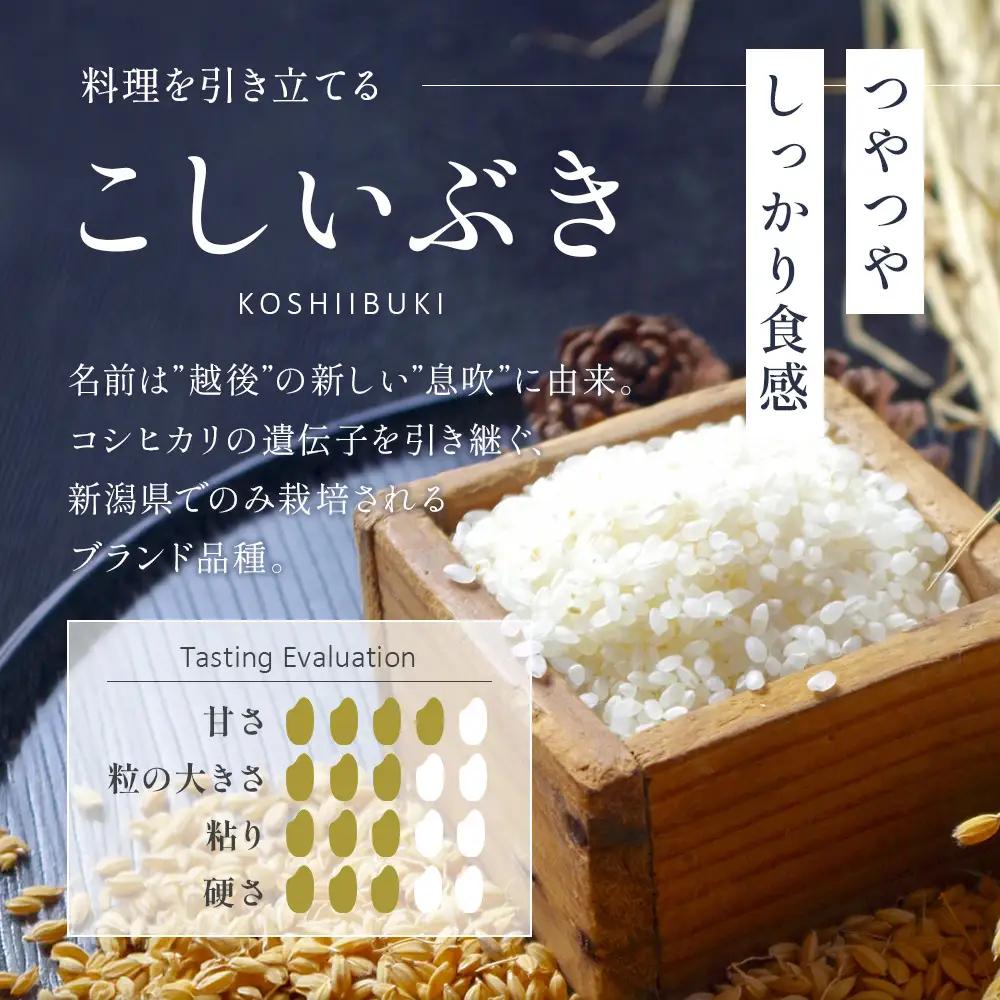令和8年産【精米】新潟県産 こしいぶき 2kg