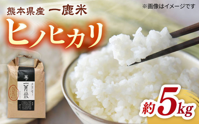 
                  【先行予約】【天日塩を使用】一鹿米 ヒノヒカリ 白米 5kg【株式会社 夢アグリ】おこめ 米 お米 ごはん 精米 熊本  [ZCL003]
                