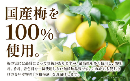 CHOYA 酔わない ウメッシュ ノンアルコール 350ml × 24本 羽曳野商工振興株式会社《30日以内に出荷予定(土日祝除く)》大阪府 羽曳野市 送料無料 梅酒 CHOYA チョーヤ梅酒 お酒 