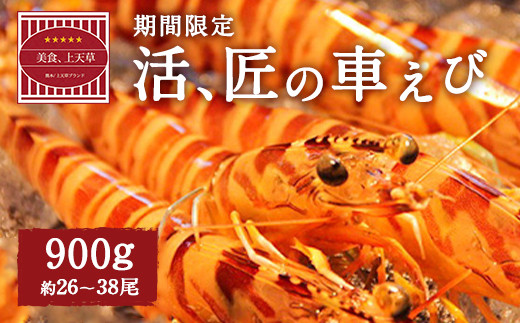 【配送日必須】【上天草市ブランド認証品】活、匠の車えび約900g（約26～38尾） 車海老 クルマエビ えび 海老 エビ 魚介 海鮮 常温【発送期間2026年11月1日から2027年3月31日】