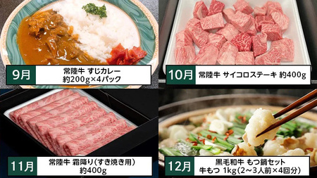 【茨城県共通返礼品】【定期便】 【12回コース】  常陸牛 贅沢 満喫 定期便（12ヶ月連続でお届け） 牛肉 黒毛和牛 国産 切り落とし すき焼き 焼肉 赤身 霜降り ステーキ ハンバーグ ローストビ