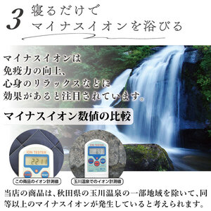 縫製の町！凄腕の蒲郡職人が本気で作った「すごい敷きパッド」【ダブル】_【G0692】