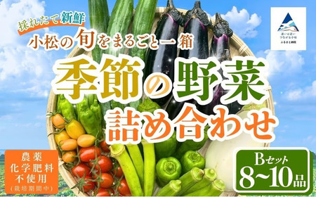 季節の野菜詰め合わせ Bセット 野菜食べ比べ 旬の野菜 野菜セット | 石川県 小松市【Kacchan.Farm】