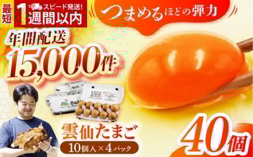 【冷蔵配送】雲仙たまご 40個(10個入り×4パック) 長崎県/塚ちゃん雲仙たまご村 [42ACAE001-1]  スピード 発送 配送 最速 最短 すぐ届く すぐ発送