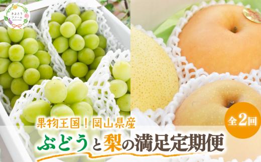 【2026年先行予約】シャインマスカットと梨詰め合わせ2-3種が届く！ぶどうと梨の満足定期便(岡山県産)【KF-T054-03】