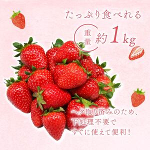冷凍いちご（古都華）1ｋｇ【mbi01】