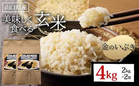 美味しく食べる玄米 計4kg 2kg×2袋 玄米 金のいぶき 小分け 定期便 ご当地 グルメ 食品 F6L-1345
