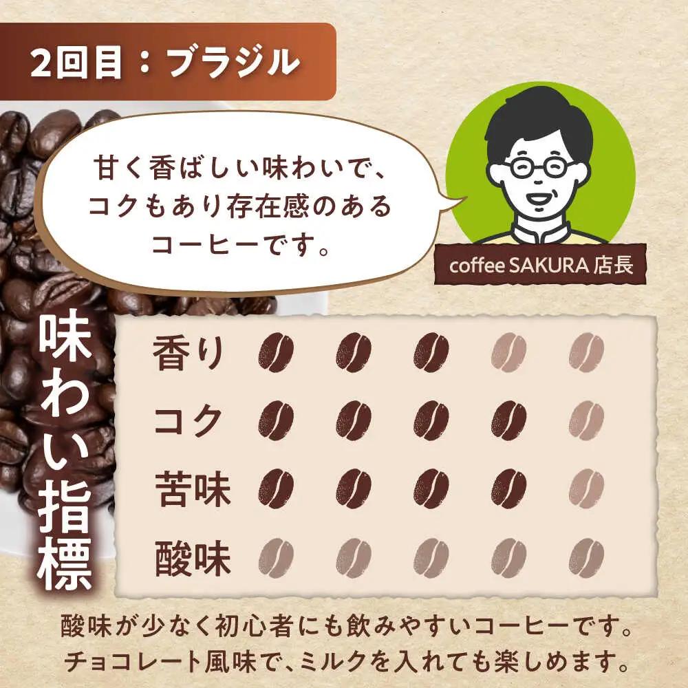 【全3回定期便】世界のコーヒー豆 おためし便(豆) / 珈琲 コーヒー / Coffee SAKURA[BBAB154]