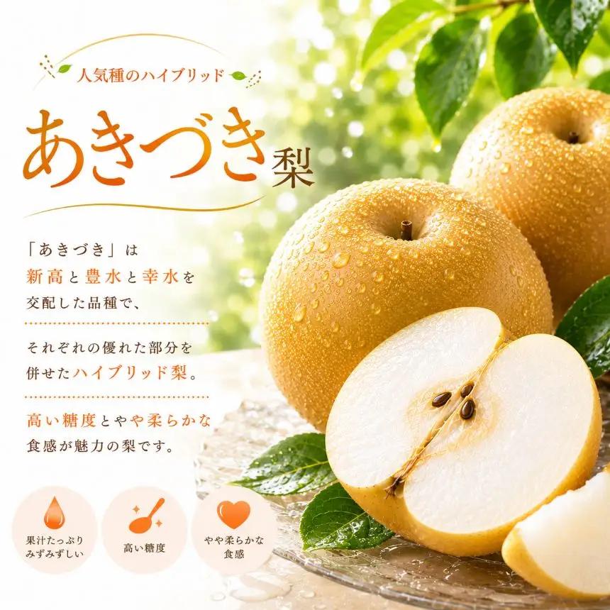 梨 あきづき 3kg | 栃木県共通返礼品 栃木県産 栃木県 那珂川町