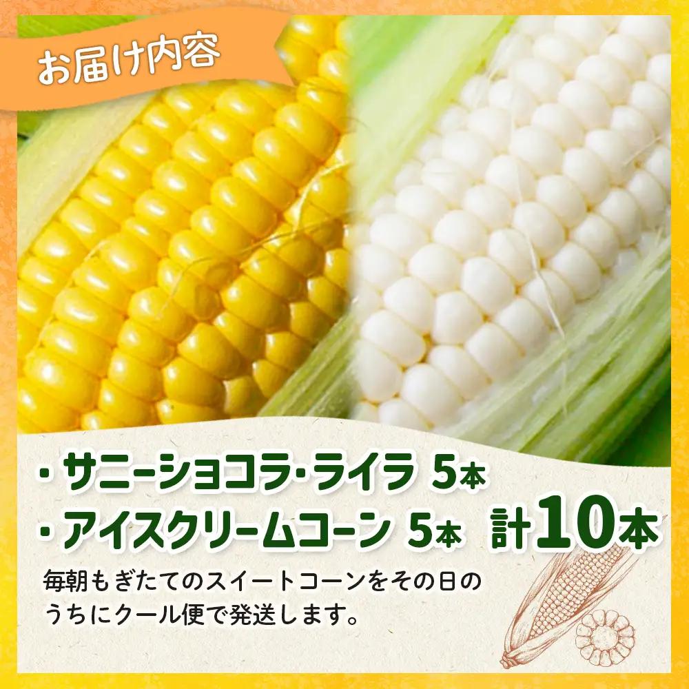 【とうもろこし数量限定先行受付！】多田農園のとうもろこし　2種10本セット【5100701】