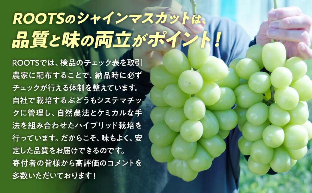 【2025年発送】訳あり 2.3kg 3房以上 シャインマスカット 先行予約 山梨県産 国産 産地直送 人気 おすすめ 贈答 ギフト お取り寄せ フルーツ 果物 くだもの ぶどう ブドウ 葡萄 わけあ