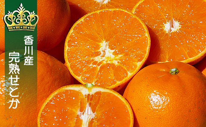話題の人気品種［せとか約4.5kg］の詰め合わせ フルーツ 果物類 みかん 柑橘類 
