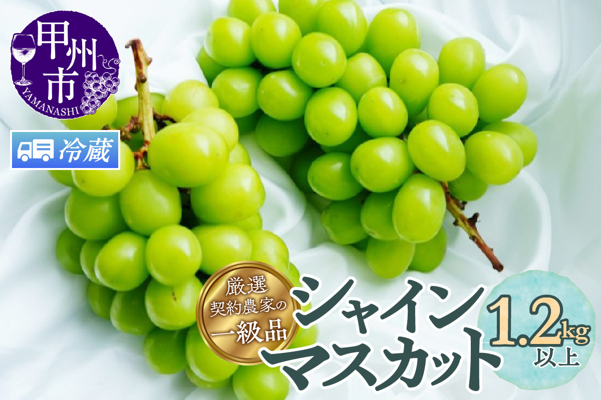 
                  《選べる発送年度》【クール配送】厳選契約農家の一級品 シャインマスカット 1.2kg以上 2～3房【2026年発送】【2027年発送】（SFL）B12-430CO 【シャインマスカット 葡萄 ぶどう ブドウ 令和8年発送 令和9年発送 山梨県産 甲州市 フルーツ 果物】
                