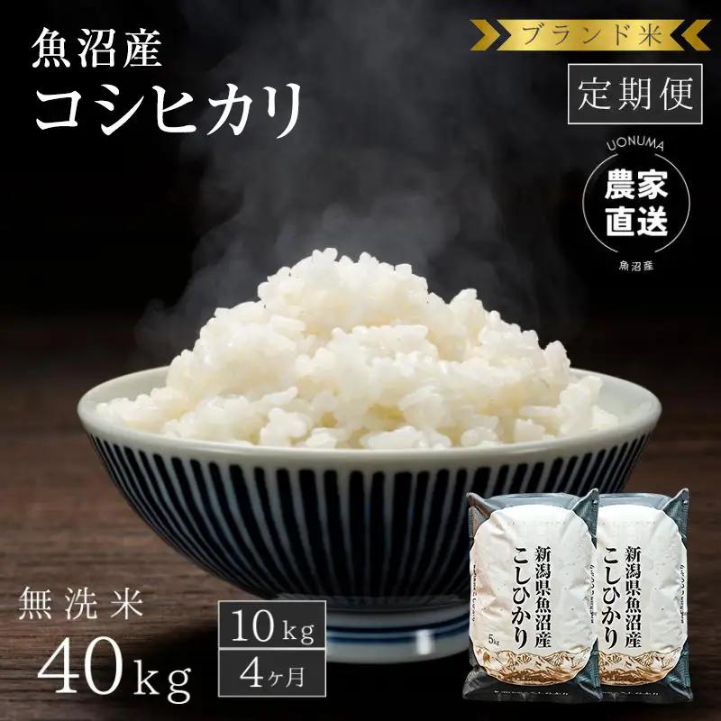 【定期便：無洗米10kg×4ヶ月】ブランド米    魚沼産コシヒカリ 米 こしひかり 新潟 定期