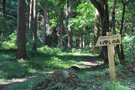 飯南町森林セラピーチケット【森林散策 観光チケット 山歩き 旅行 ガイド 体験 Ｂ-31】　