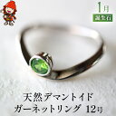 【ふるさと納税】天然デマントイドガーネット 指輪 リング 12号 レディース PT900 プラチナ アクセサリー 婚約指輪 プロポーズ 結婚指輪 誕生日 婚約 結婚 母の日 プレゼント 祝 記念日 女性 贈り物 大分県産 九州産 中津市 国産 送料無料