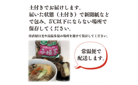 令和7年産 伝統野菜 里芋「子姫芋」3kg（500g×6袋）土付 山形県産 2025年産【2025年10月下旬頃～2026年1月頃配送予定】 012-B-BK004