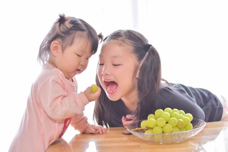 発送中 ! シャインマスカット 約 1 kg ～ 1.2kg ( 2 ～ 3房 ）贈答用 | フルーツ 果物 くだもの ぶどう 葡萄 ブドウ マスカット シャインマスカット 長野県 信州 千曲市