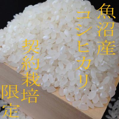ふるさと納税 魚沼市 令和7年産【雪国逸品 精米5kg】越後魚沼郷 魚沼産コシヒカリ |  | 03