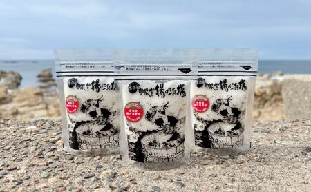 奥能登揚げ浜塩3個セット