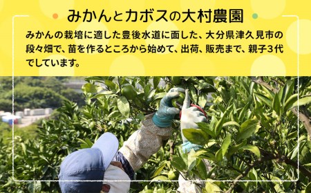 大村農園の極早生みかん おおいた早生 5kg | 津久見市