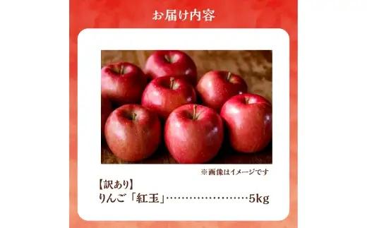 【先行予約：2026年10月中旬より発送】訳アリ りんご（紅玉）5kg【北海道余市町産】_Y103-0080