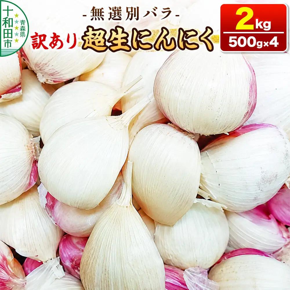 訳あり 超生にんにく 無選別バラ2kg（500g×4） 青森県産