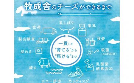 ＜牧成舎＞飛騨の牛乳屋さんが作った こだわりの フレッシュモッツァレラチーズ（100g×2個）| チーズ DF036