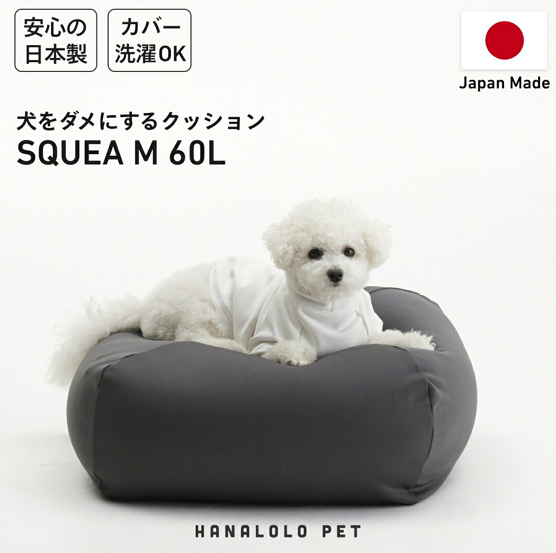 【ふるさと納税】 クッション ビーズクッション ペットクッション M カバー付 60L チャコールグレー 1個 [タキコウ縫製 愛知県 岡崎市 ok23bzx360022] インテリア 家具 雑貨 くっしょん 椅子 イス 癒し ペット グレー 灰色 Mサイズ
