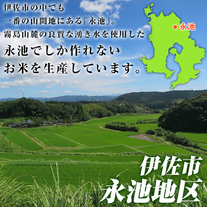 H4-01 【定期便】令和5年産 特別栽培米 伊佐米永池ひのひかり(計60kg・10kg×6ヶ月)【エコファーム永池】